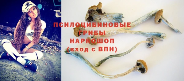 скорость Протвино