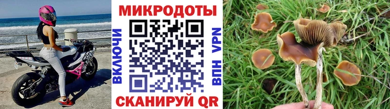 купить наркотики сайты  Покровск  Псилоцибиновые грибы прущие грибы 